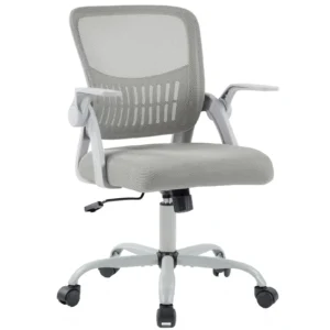 Home Office Ergonomic Computer Chair